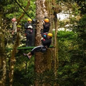 Meet your Posher, Brittney